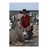 Image 1 : 3-day desert mule deer hunt for one hunter in New Mexico - includes trophy fee