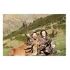 Image 1 : 3-day red stag hunt for one hunter and one non-hunter in New Zealand - includes trophy fees