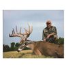 Image 1 : 3-day whitetail deer hunt for one hunter in Corsicana, Texas - includes trophy fee up to 170 gross B