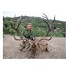 Image 1 : 4-day red stag hunt for one hunter in Spain - includes trophy fee