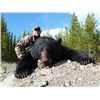 Image 1 : 5-day black bear hunt for one hunter in Prince George, Canada - includes trophy fee