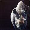 Image 1 : "Disappearing Rhino" Original scratchboard drawing by Sally Maxwell