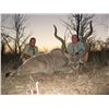 Image 1 : 7-day plains game hunt for one hunter in Zimbabwe
