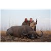 Image 1 : 7-day Cape buffalo and plains game hunt for one hunter and one non-hunter in Zambia - includes troph