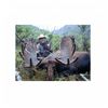 Image 1 : 10-day Canadian moose hunt for one hunter in British Columbia - includes trophy fee