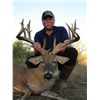 Image 2 : 3-day whitetail deer hunt for two hunters in Three Rivers, Texas