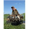 Image 1 : 3-day Cinnamon Teal OR Peru Mountain species trophy waterfowl hunt for one hunter in Peru - includes