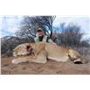Image 1 : 3-day lioness hunt for one hunter in the Northwest Province of South Africa - includes trophy fee