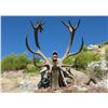 Image 1 : 7-day Mid-Eastern red stag hunt for one hunter in Turkey - includes trophy fee