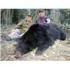 Image 1 : 8-day black bear hunt for one hunter in the Yukon territory of Canada - includes trophy fees for two