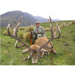 5-day red stag hunt for one hunter in New Zealand - includes trophy fees up to 320"