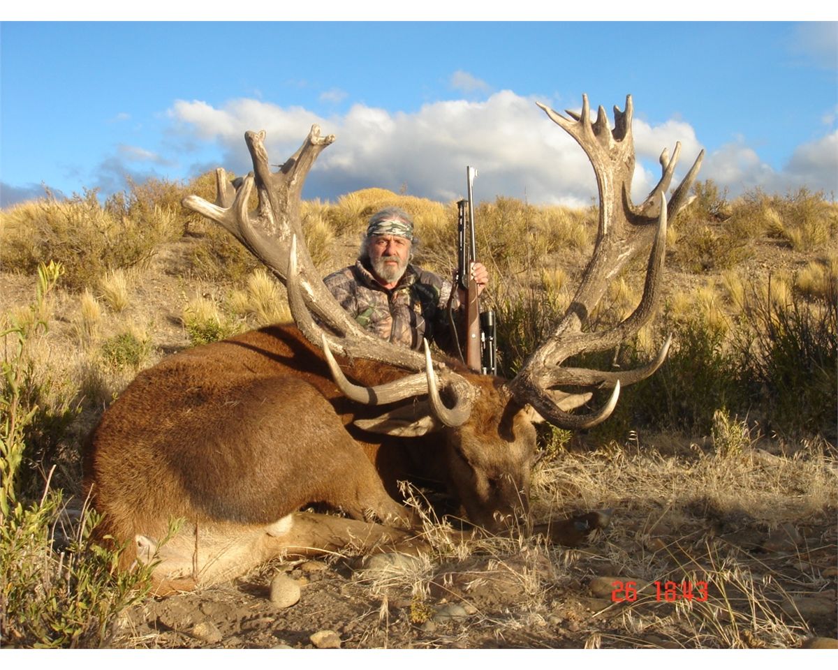 5-day red stag hunt for one hunter and one non-hunter in Patagonia ...