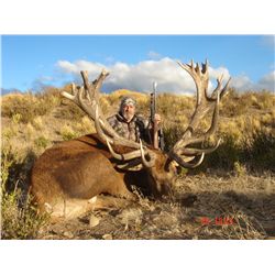 5-day red stag hunt for one hunter and one non-hunter in Patagonia, Argentina - includes trophy fees