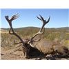 Image 1 : 5-day Spanish deer hunt for one hunter and one non-hunter in Spain - includes trophy fee