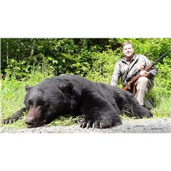 5-day black bear hunt for one hunter in British Columbia - includes trophy fee