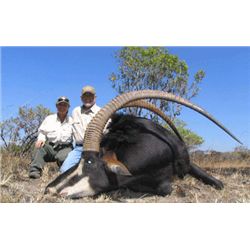10-day sable and plains game hunt for one hunter in Zambia