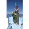 Image 1 : 4-day/3-night Carmen Island fishing vacation for four anglers