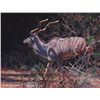 Image 1 : "Impressions of a Kudu" framed original acrylic by Jan Martin McGuire