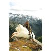 Image 1 : 10-day moose, goat, elk combo for one hunter in Canada - includes trophy fee for first animal harves
