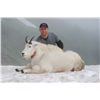 Image 1 : 5-day mountain goat and black bear hunt for one hunter in Alaska - includes trophy fees