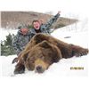 Image 1 : 9-day Kamchatka brown bear hunt for one hunter in Russia -