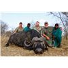 Image 1 : 9-day "DAGGA" bull buffalo hunt for one hunter in South Africa - includes trophy fee