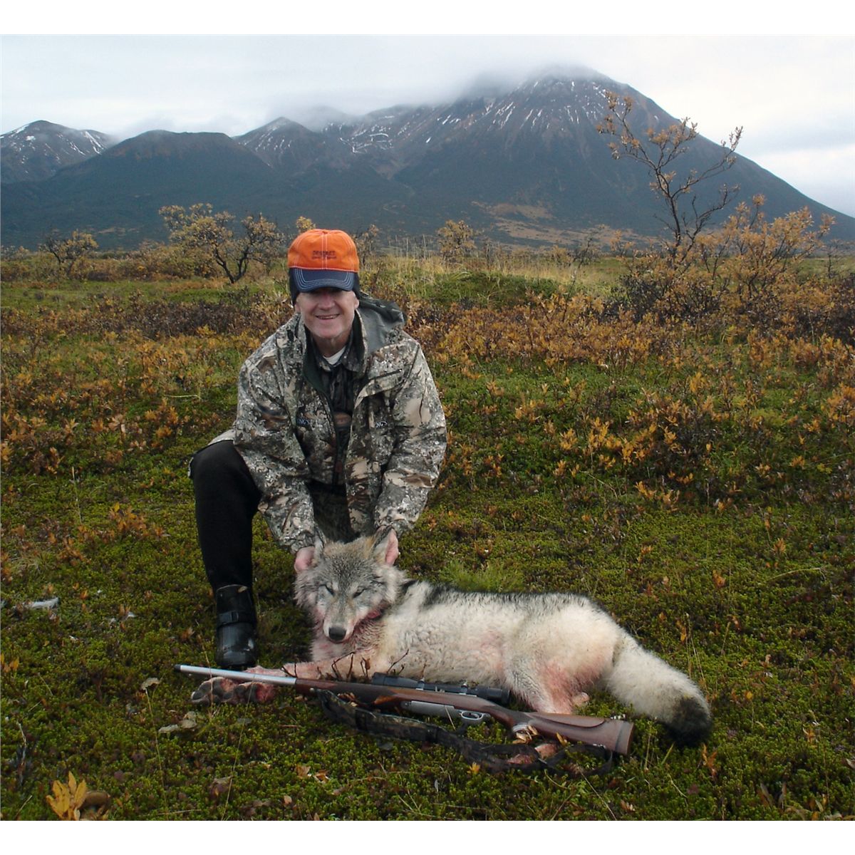 6-day Alaskan wolf hunt for two hunters - includes taxidermy for two ...
