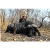 Image 1 : 10-day buffalo and plains game hunt for one hunter in Tanzania