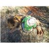 Image 2 : Bill Yeatts Memorial Hat
