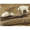 Image 2 : 1929 Cast Iron Sheep Sculpture on Rock - Clarke
