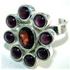 Image 1 : Silver and Garnet Ring