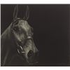 Image 1 : Paddy Lennon - ARKLE, 2012