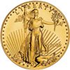 Image 1 : 1 oz Gold Eagle Bullion - Random Date