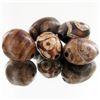 Image 1 : 275ct Tibet Dzi Beads Parcel (GEM-049598)