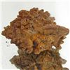 Image 1 : 305ct Crystalized Coprolite Dinosaur Doo Cluster (MIN-001140)