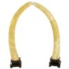 Image 1 : Handcarved Bone Dragon Tusks (CLB-001233)