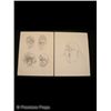 Image 1 : Spacehunter Character Sketches