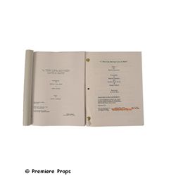 A Thin Line Between Love and Hate Screenplays