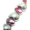 Image 1 : Nautilus Shell Bracelet