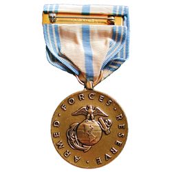 USA Armed Forces Reserve - Marine Corps Medal Lot of 10
