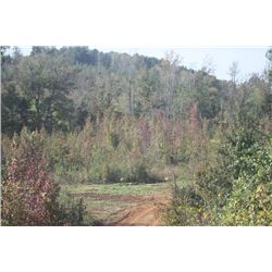 320 AC + HUNTING AND TIMBER LAND IN PERRY COUNTY ALABAMA