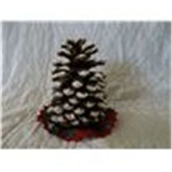 Pincecone Tree