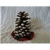 Image 1 : Pincecone Tree