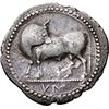 Image 1 : Italy. Lucania, Sybaris.   Stater, circa 550-510 BC. Obv. Bull standing Ieft, head reverted; VM in e