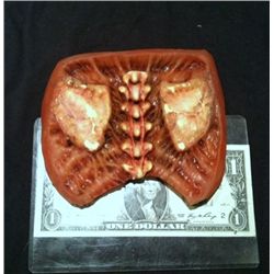 SEED OF CHUCKY TIFFANY STATIC ENTRAILS