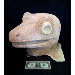 DINOSAUR RAPTOR FULL HEAD UNUSED LATEX MASK HORROR PROP