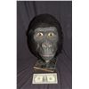 Image 1 : DISNEY FEMALE GORILLA APE VINTAGE ANIMATRONIC ANIMAL HEAD PROP KING KONG