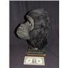 Image 2 : DISNEY FEMALE GORILLA APE VINTAGE ANIMATRONIC ANIMAL HEAD PROP KING KONG