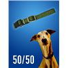 Image 1 : 50/50 FIFTY FIFTY SCREEN USED DOG SKELETOR COLLAR