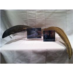 HELLRAISER HELLSEEKER SCREEN USED & MATCHED CENOBITE EEL